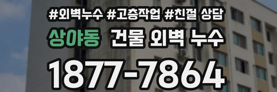 상야동 건물 외벽 누수