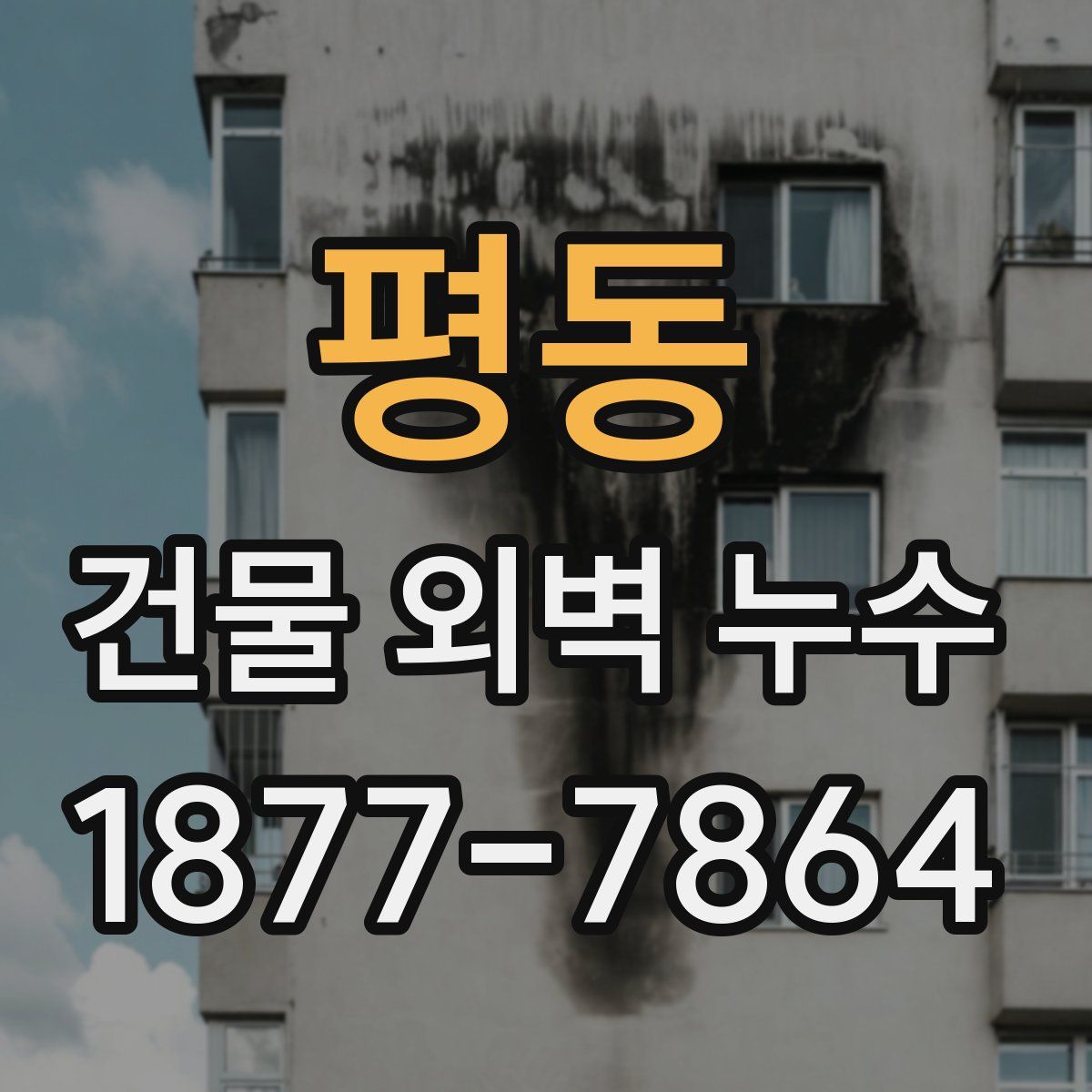 평동 건물 외벽 누수