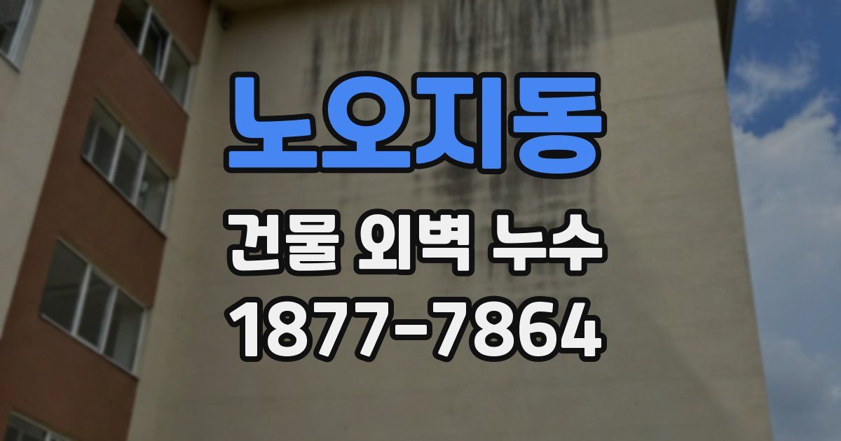 노오지동 건물 외벽 누수