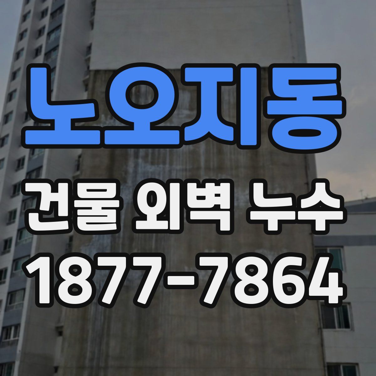 노오지동 건물 외벽 누수