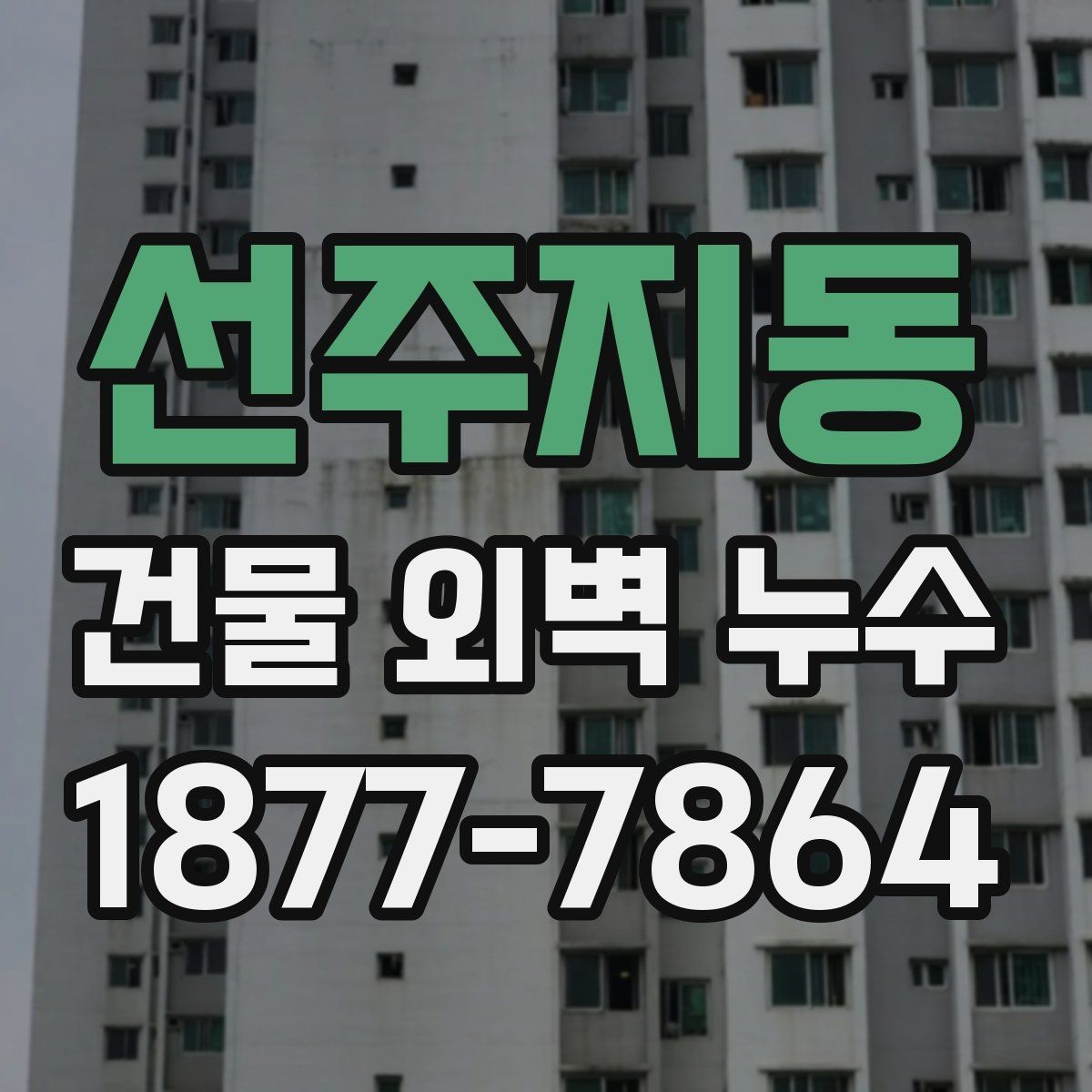 선주지동 건물 외벽 누수 공사 전 체크사항