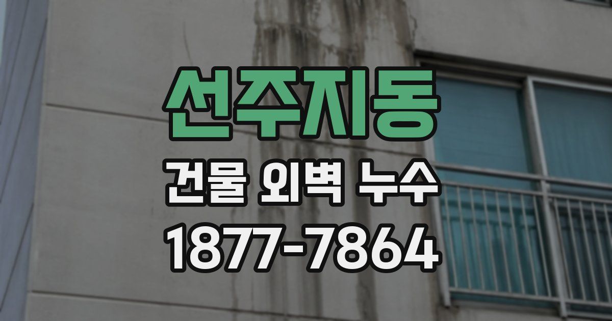 선주지동 건물 외벽 누수