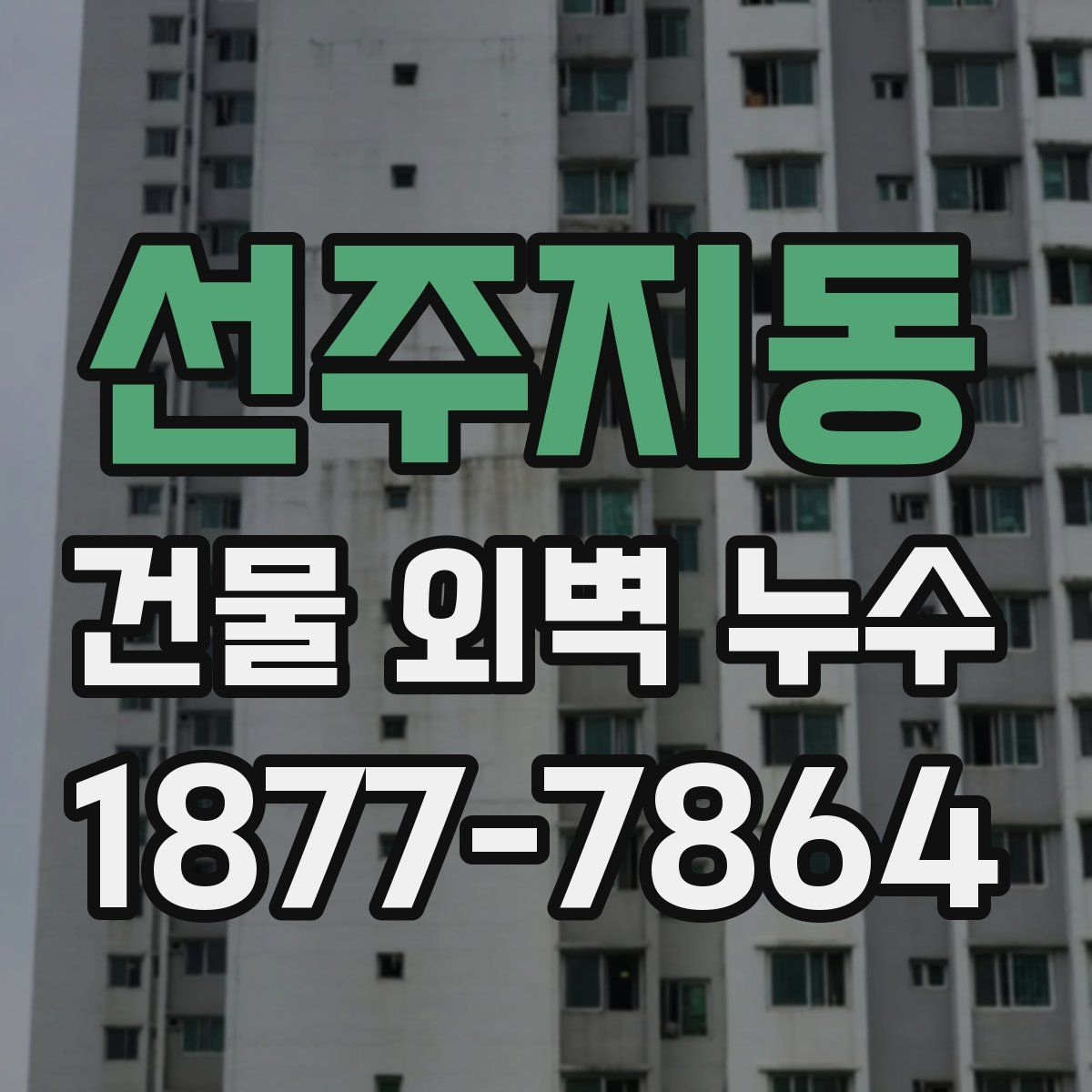 선주지동 건물 외벽 누수