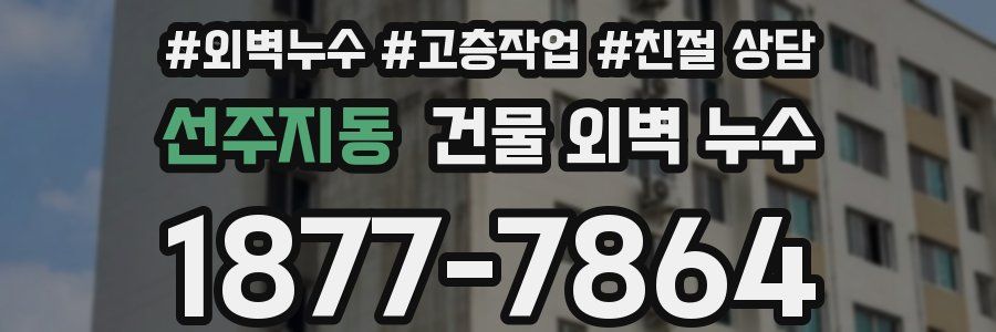 선주지동 건물 외벽 누수