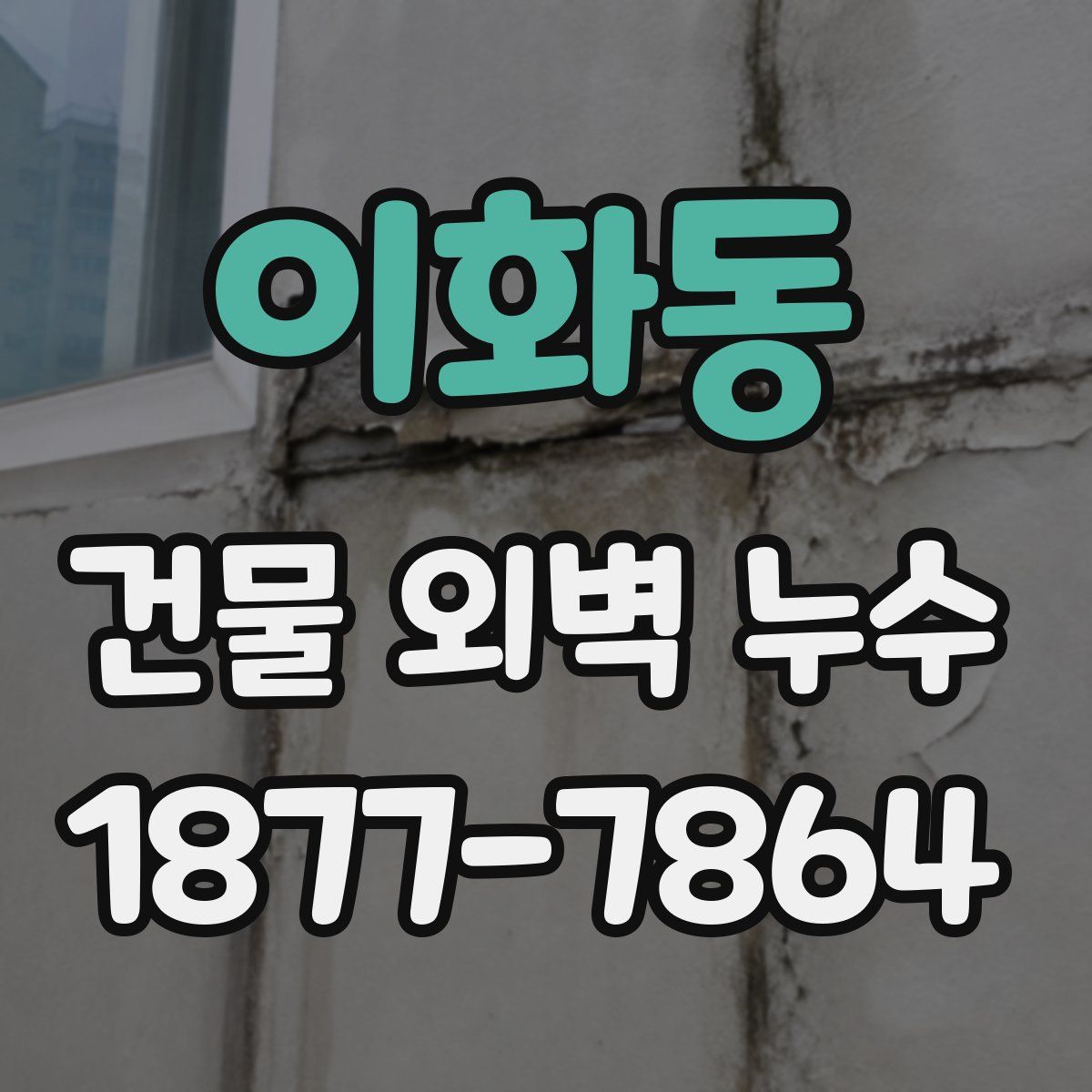 이화동 건물 외벽 누수