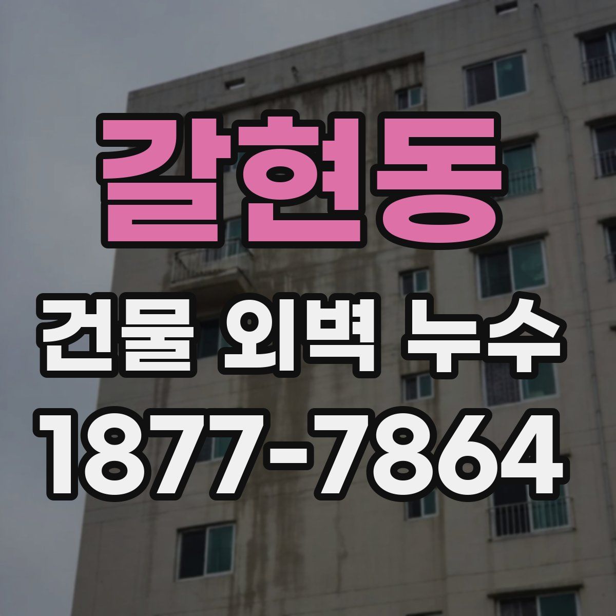 갈현동 건물 외벽 누수