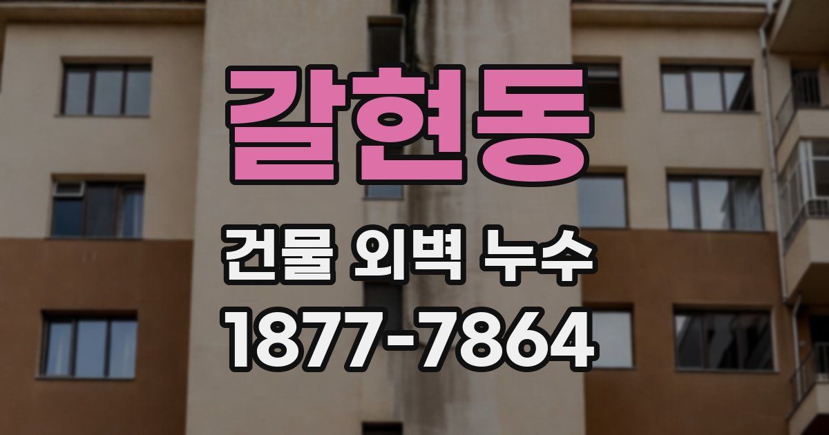 갈현동 건물 외벽 누수