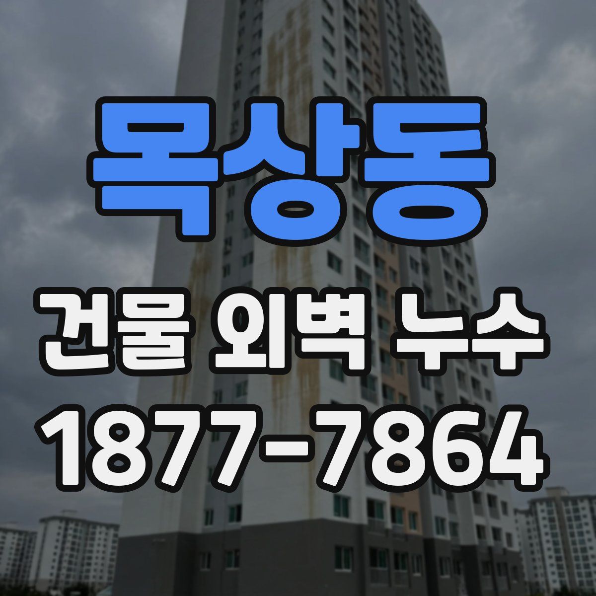 목상동 건물 외벽 누수