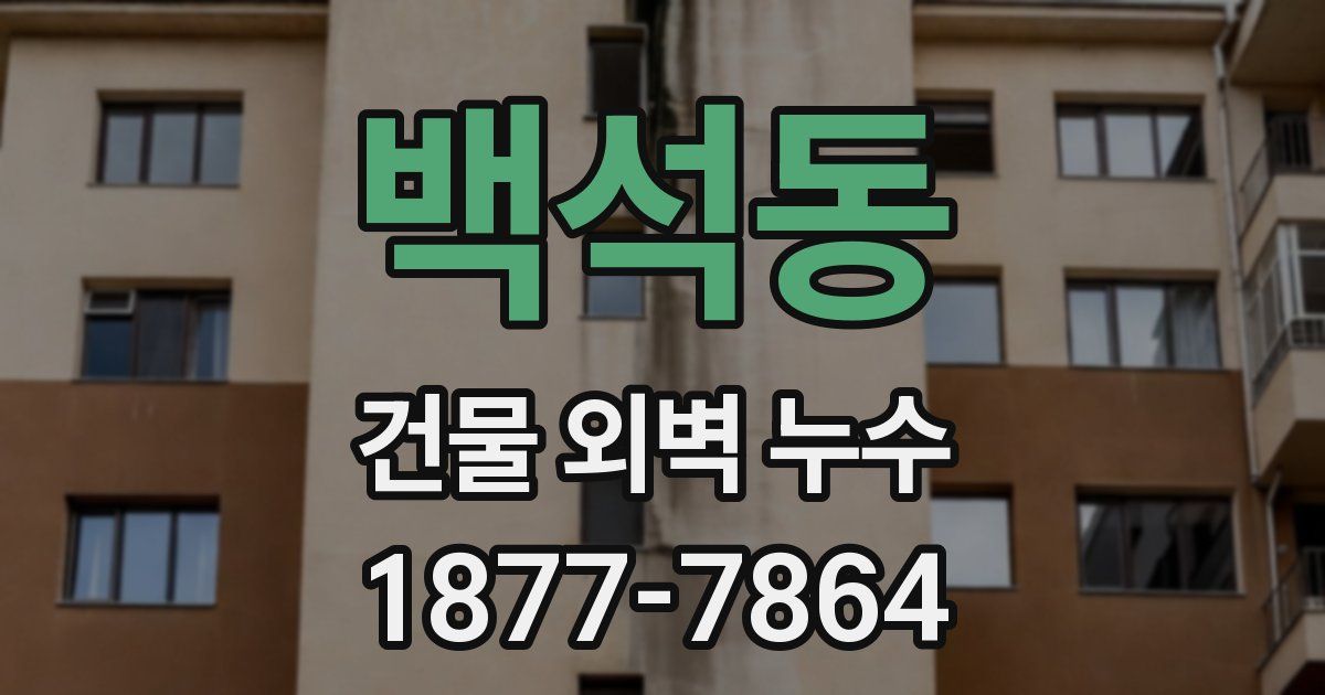 백석동 건물 외벽 누수