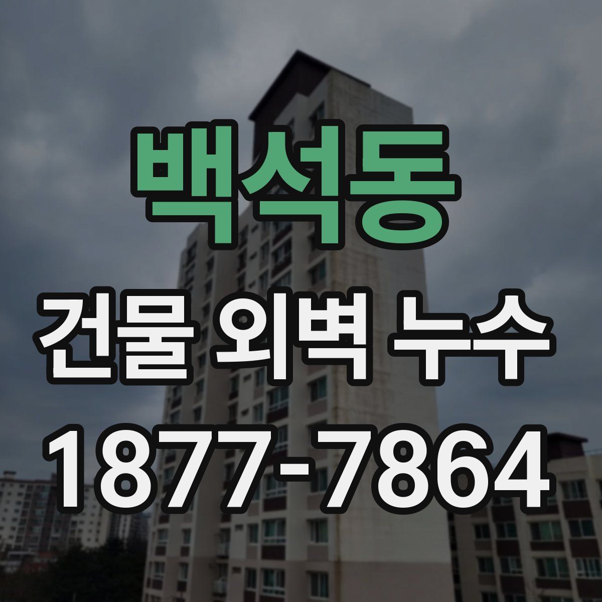 백석동 건물 외벽 누수