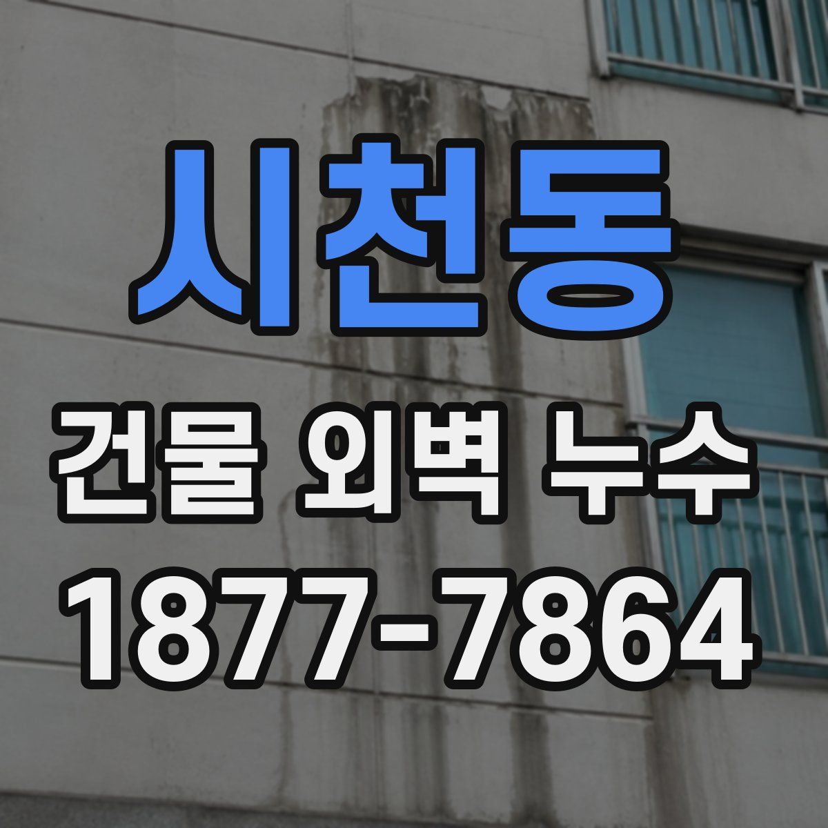 시천동 건물 외벽 누수