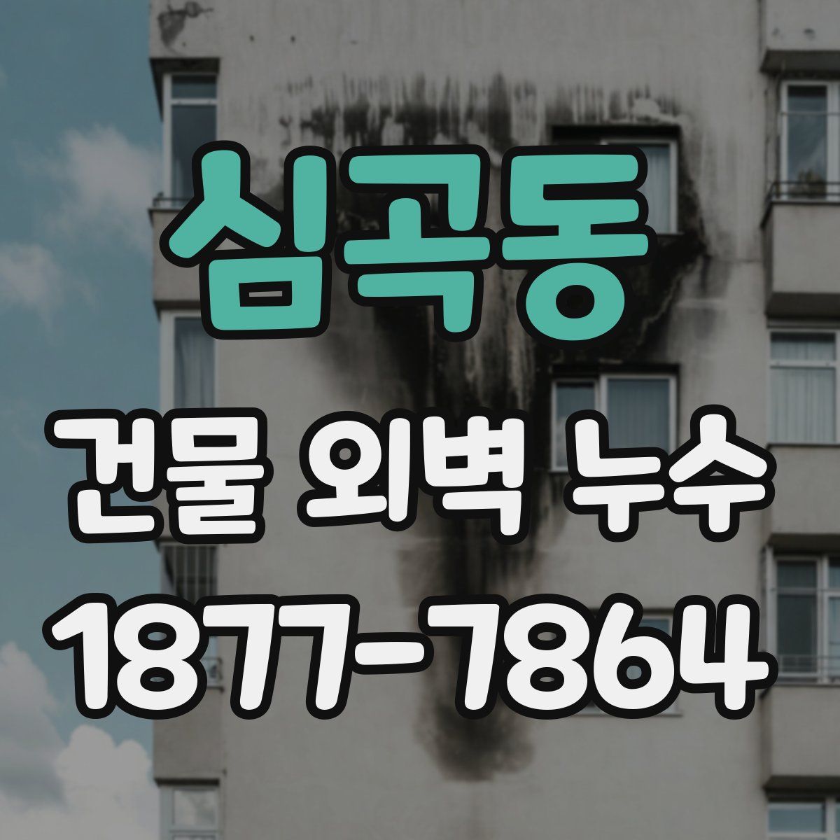심곡동 건물 외벽 누수