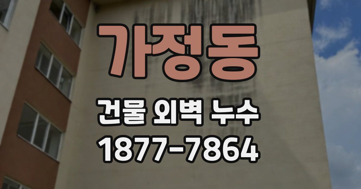 가정동 건물 외벽 누수