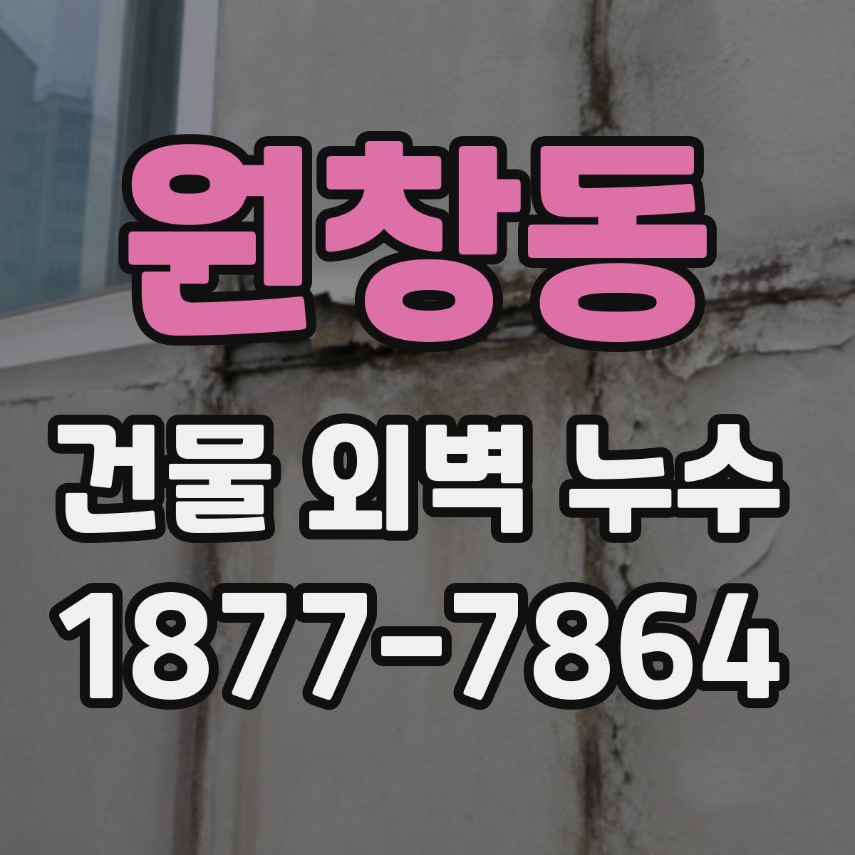 원창동 건물 외벽 누수