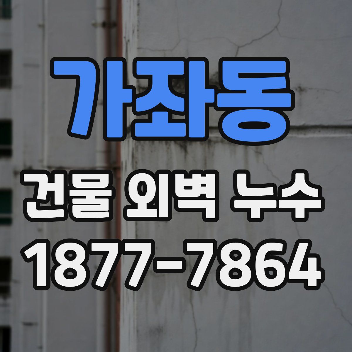 가좌동 건물 외벽 누수