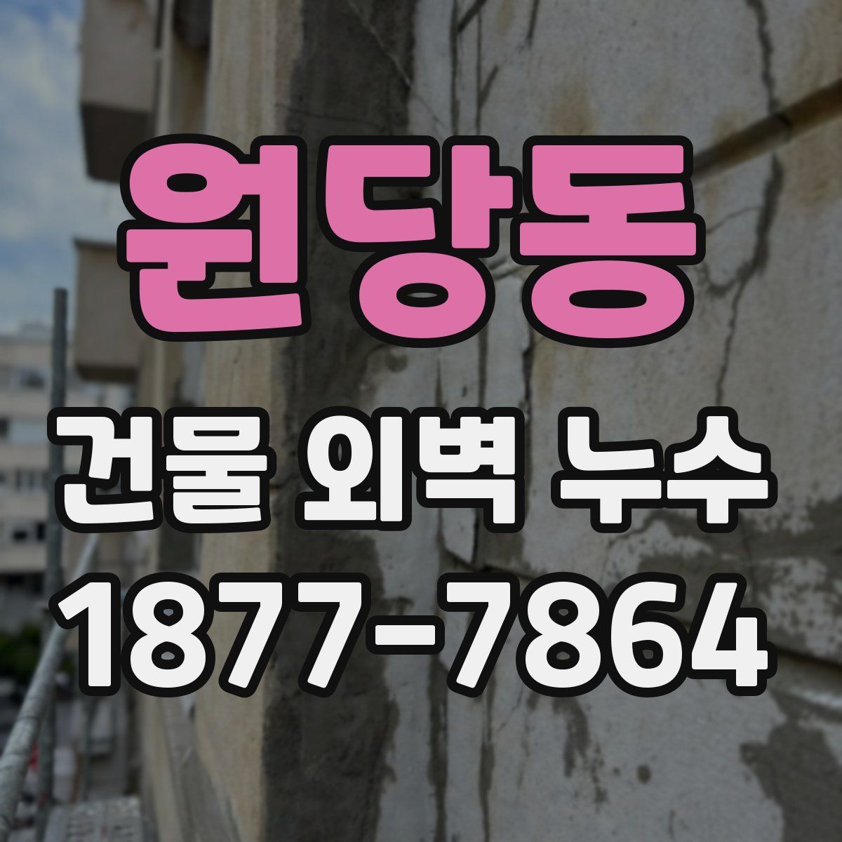 원당동 건물 외벽 누수