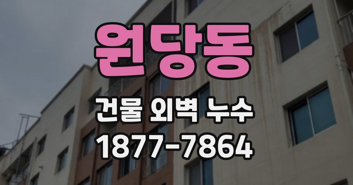 원당동 건물 외벽 누수