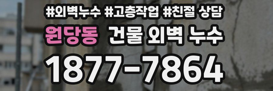 원당동 건물 외벽 누수