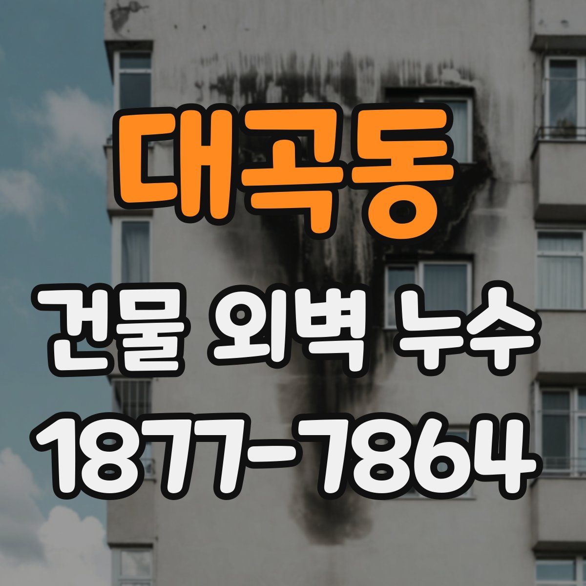 대곡동 건물 외벽 누수
