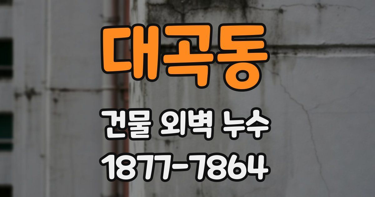 대곡동 건물 외벽 누수