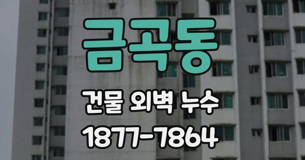 금곡동 건물 외벽 누수