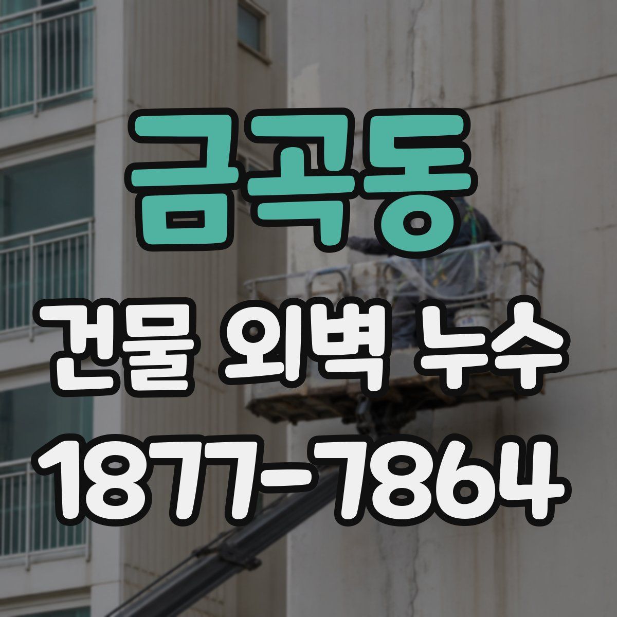 금곡동 건물 외벽 누수