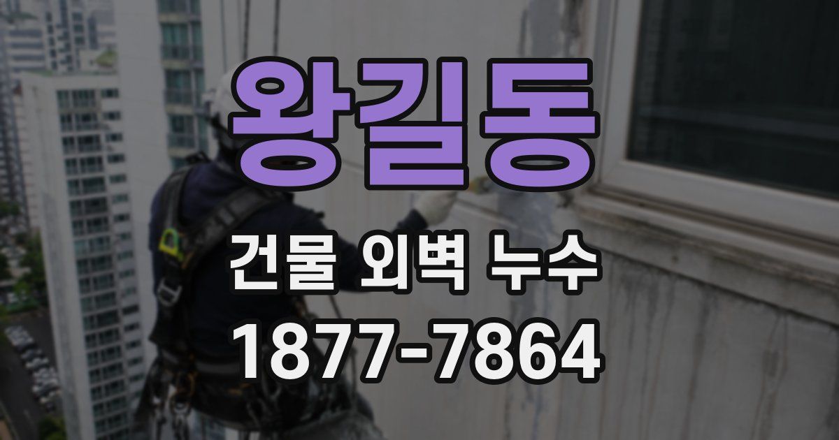 왕길동 건물 외벽 누수