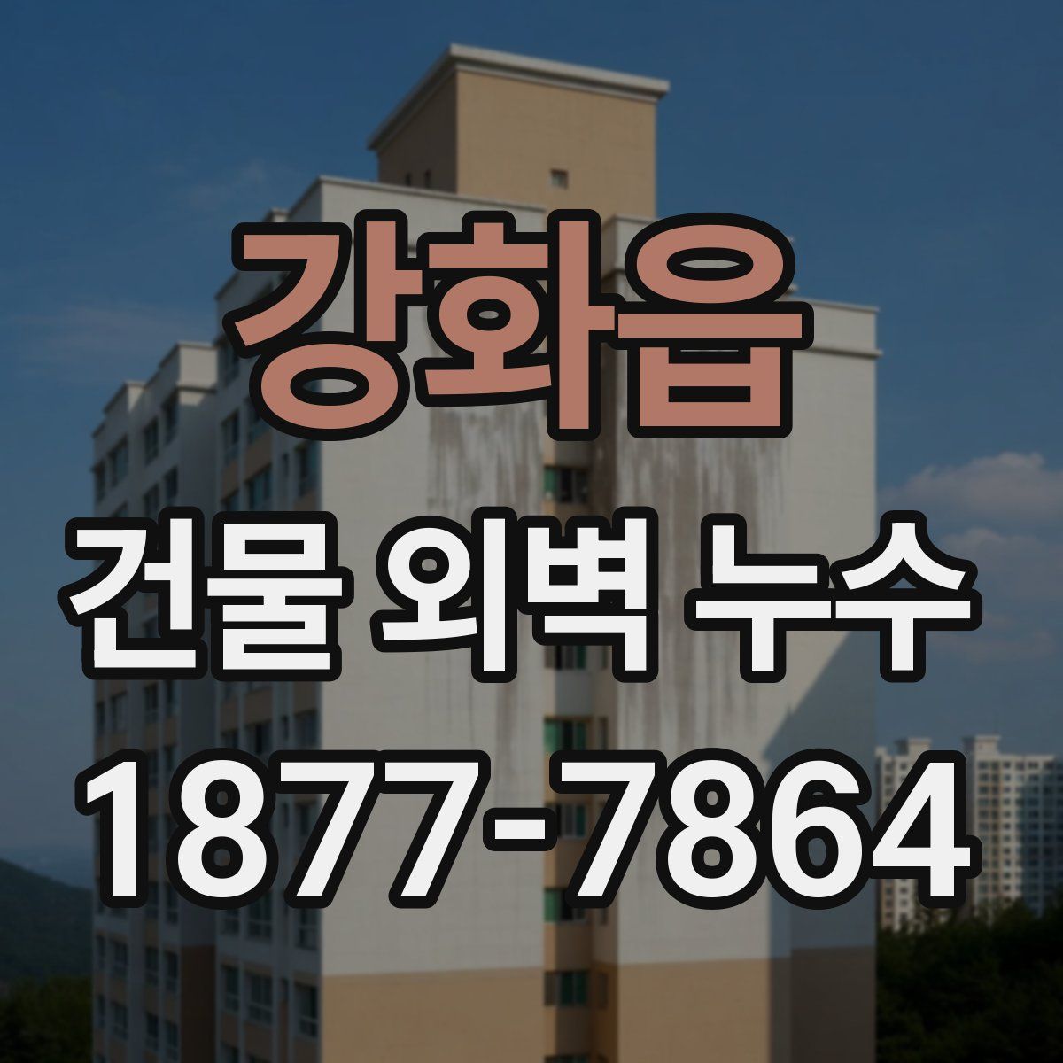 강화읍 건물 외벽 누수