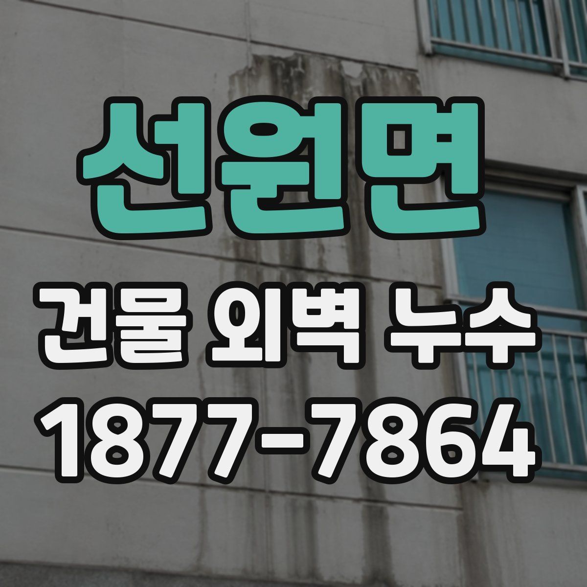 선원면 건물 외벽 누수