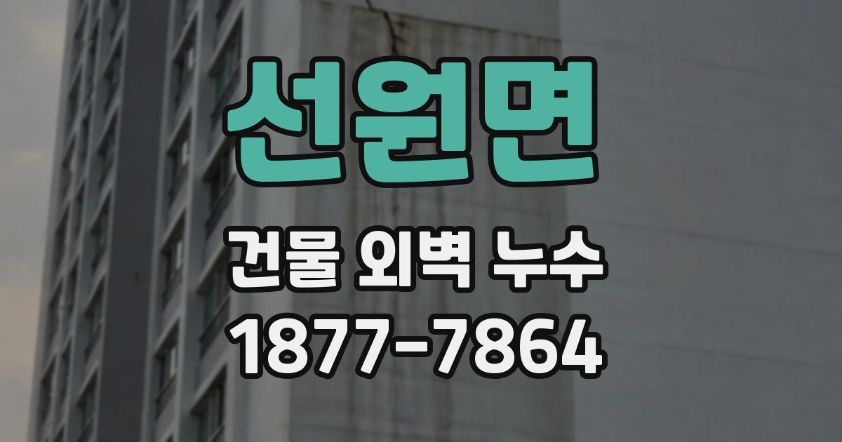 선원면 건물 외벽 누수