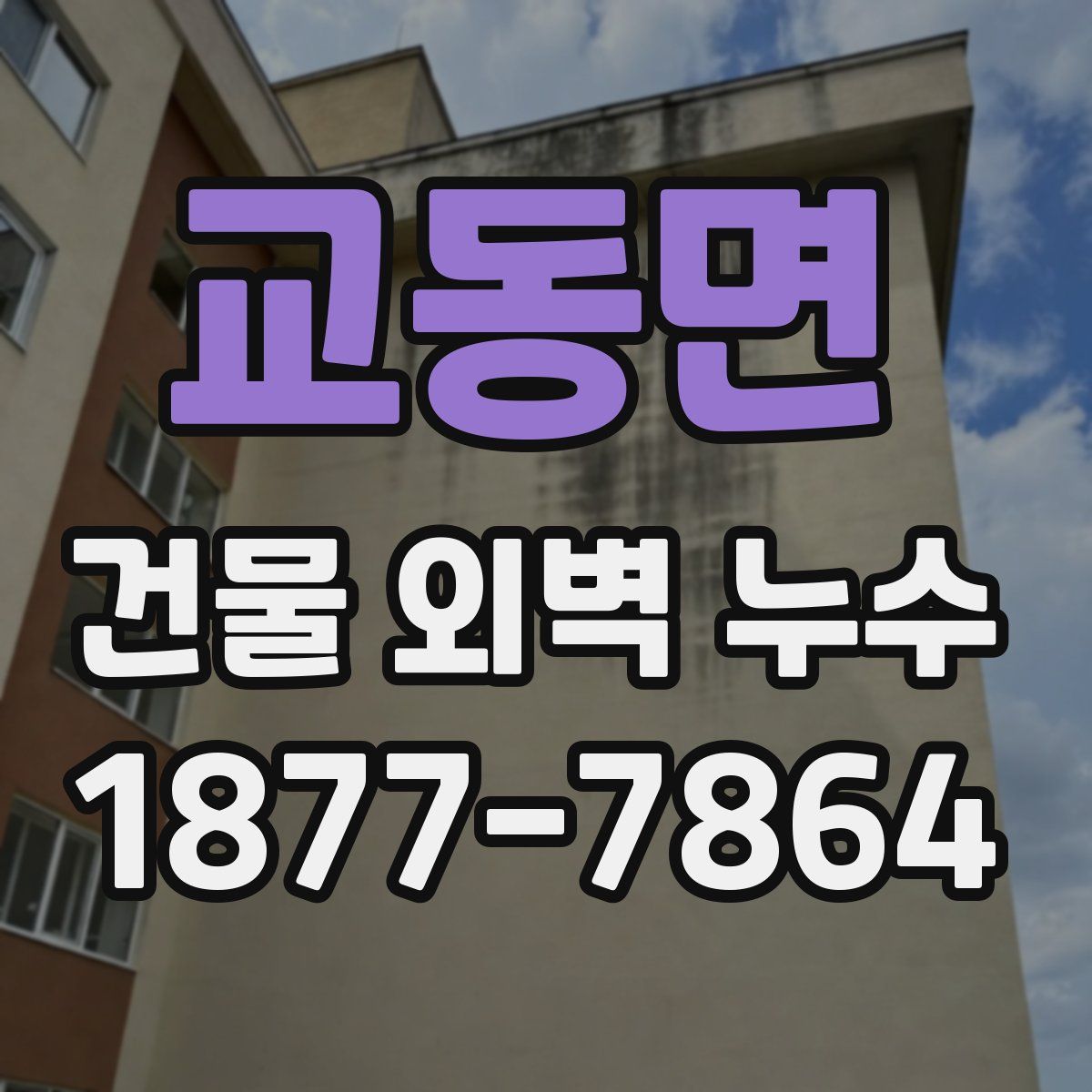 교동면 건물 외벽 누수
