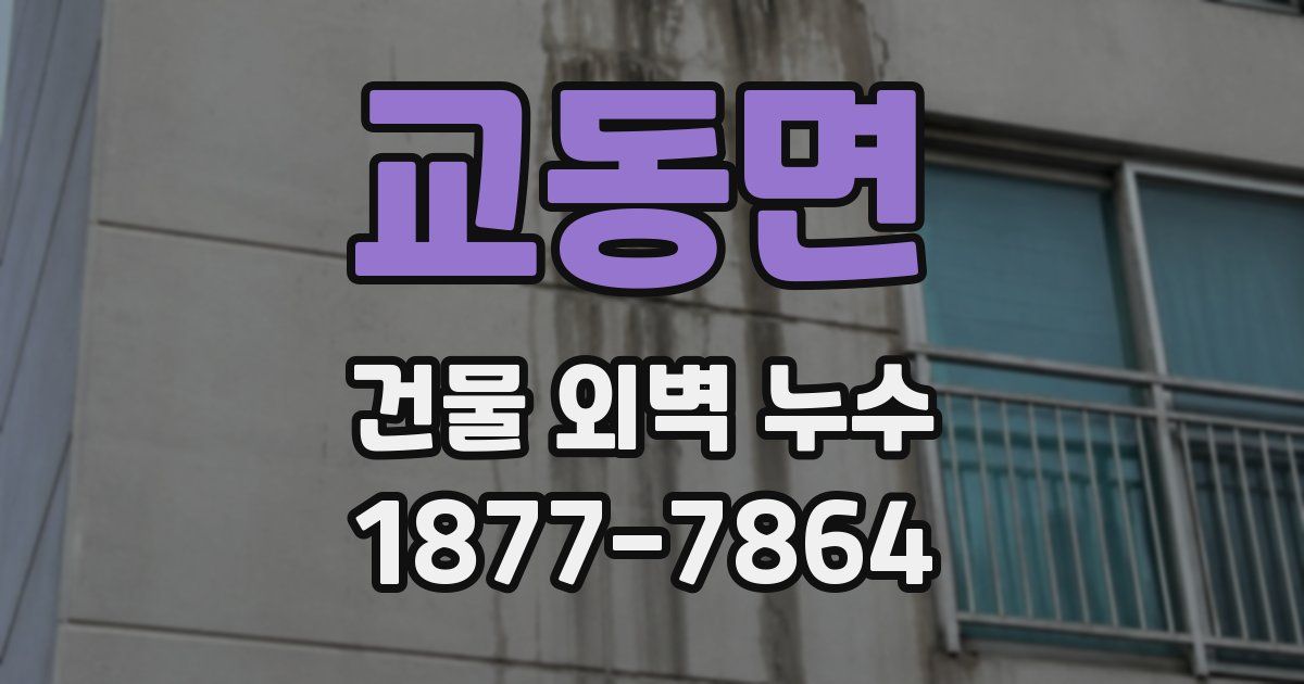교동면 건물 외벽 누수