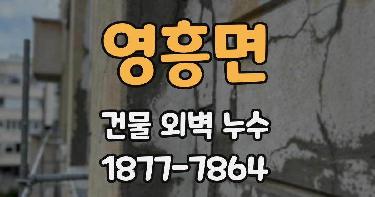 영흥면 건물 외벽 누수