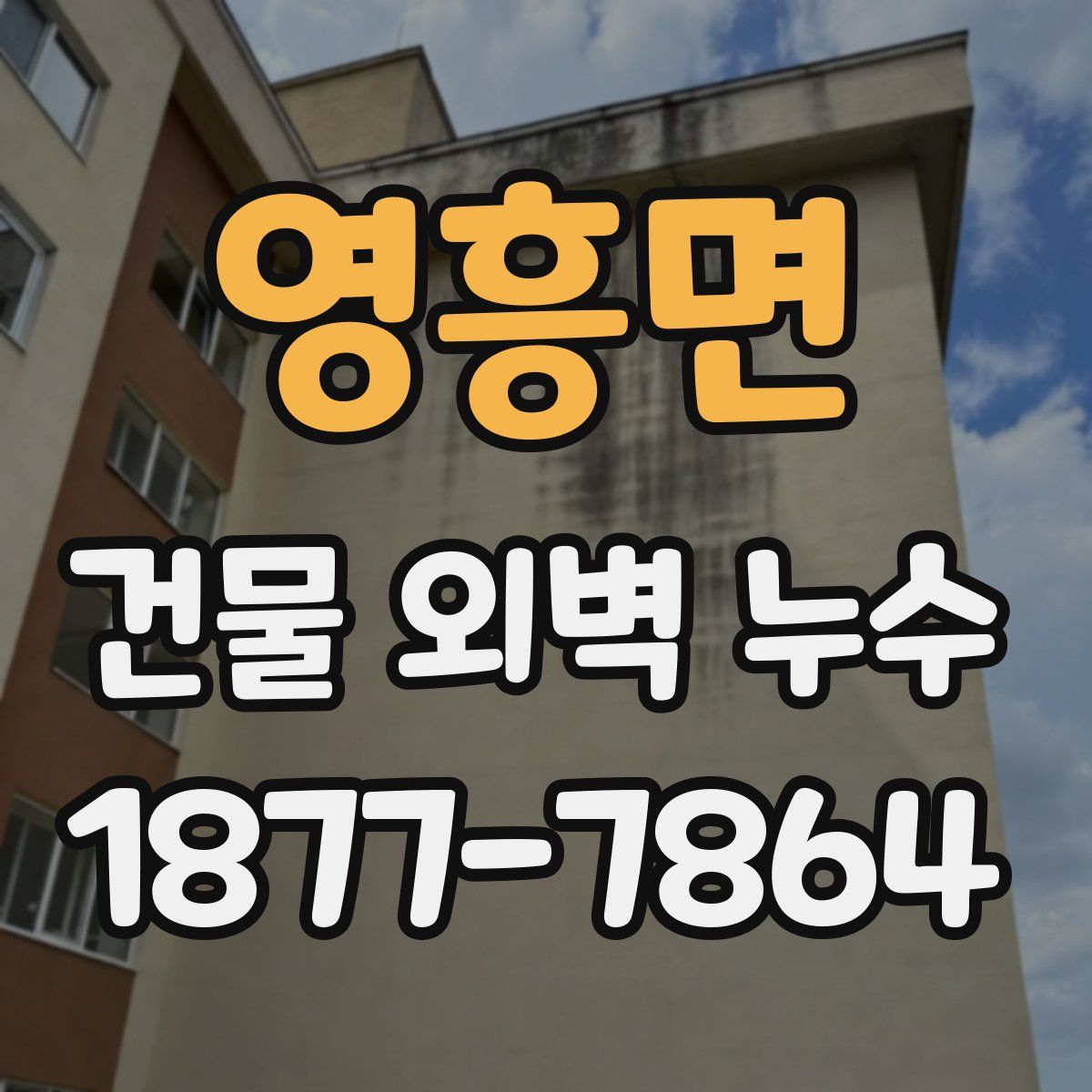 영흥면 건물 외벽 누수