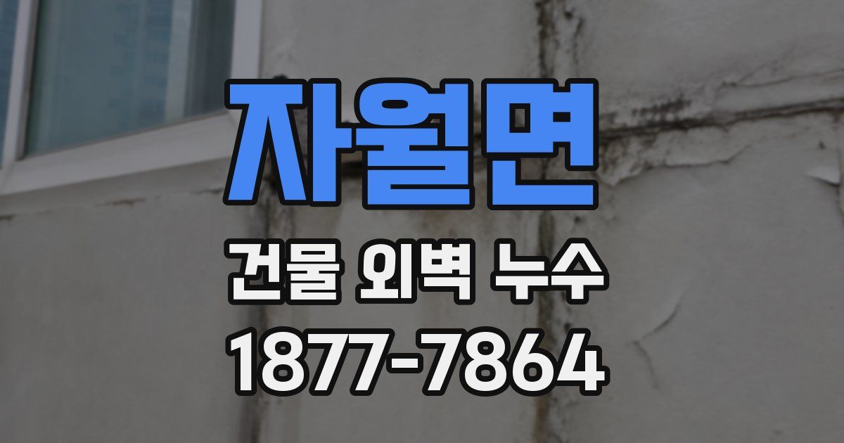 자월면 건물 외벽 누수
