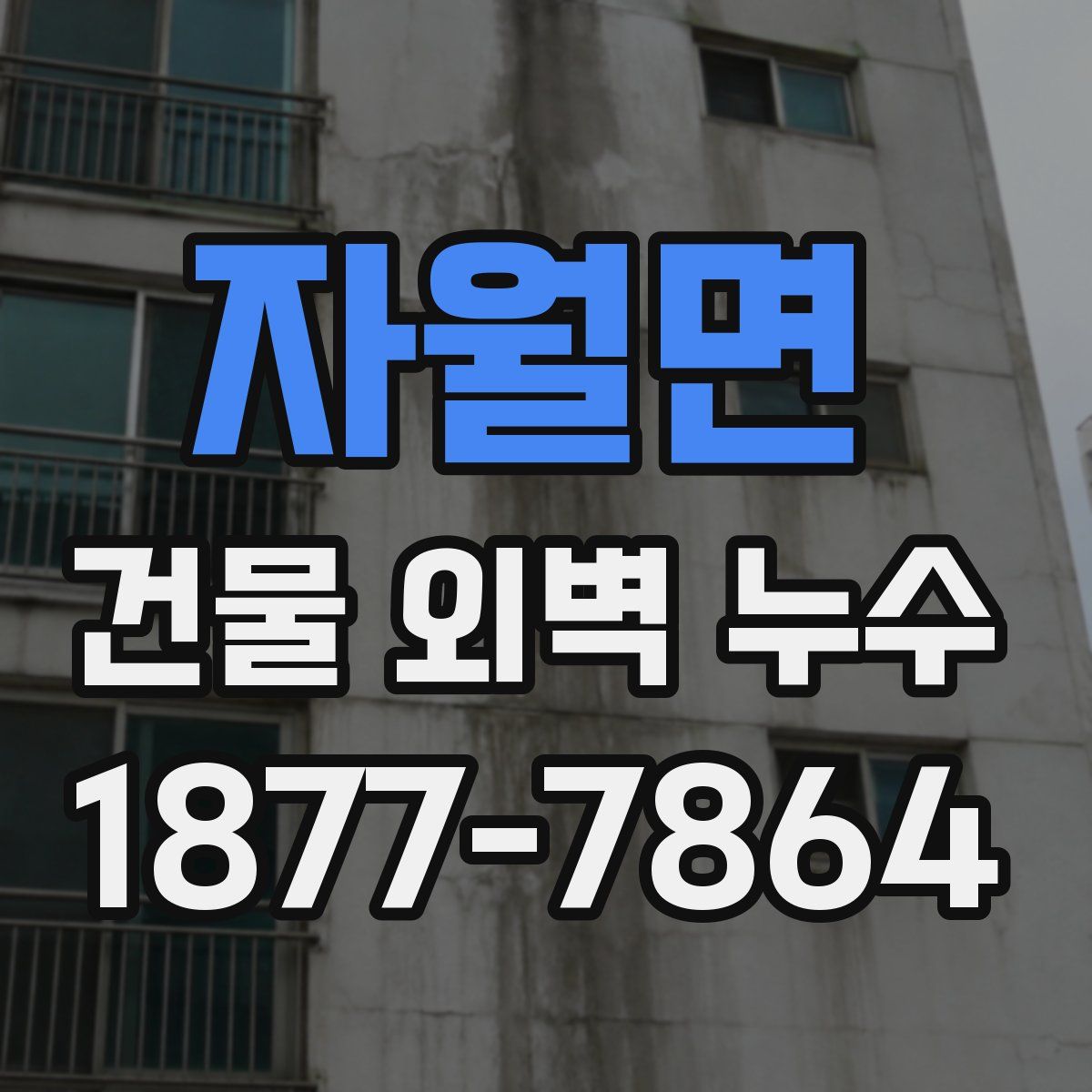 자월면 건물 외벽 누수