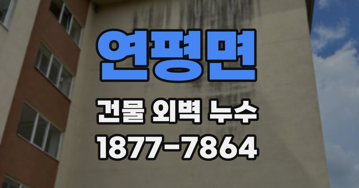 연평면 건물 외벽 누수