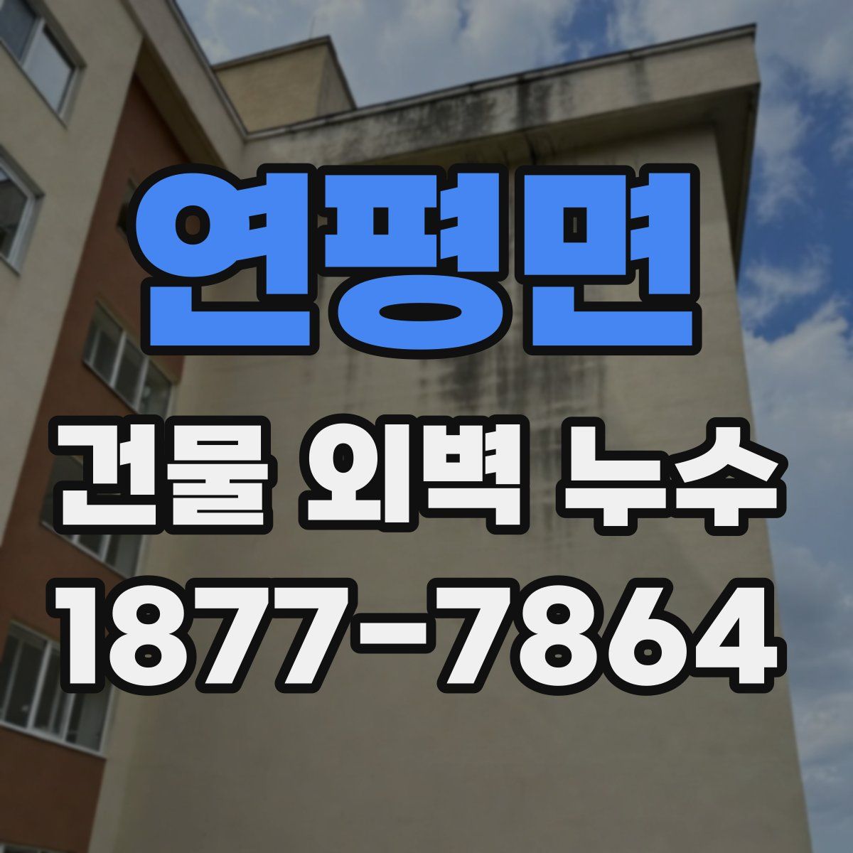 연평면 건물 외벽 누수