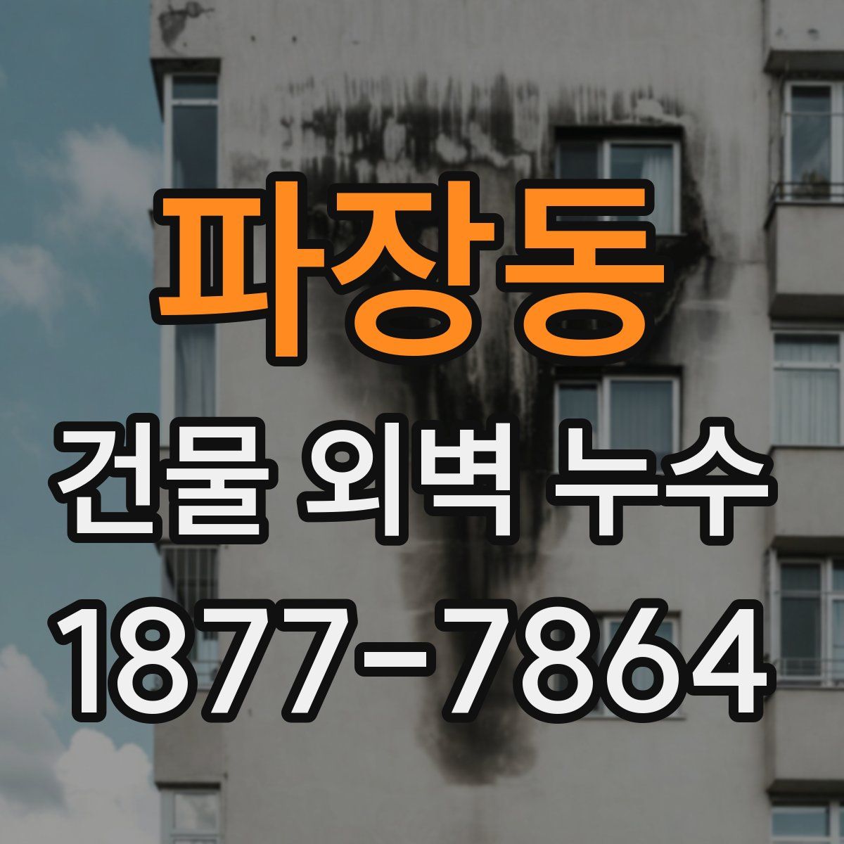파장동 건물 외벽 누수