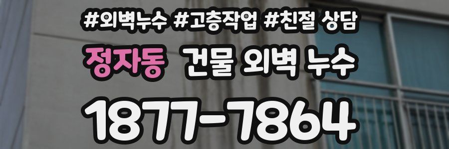 정자동 건물 외벽 누수