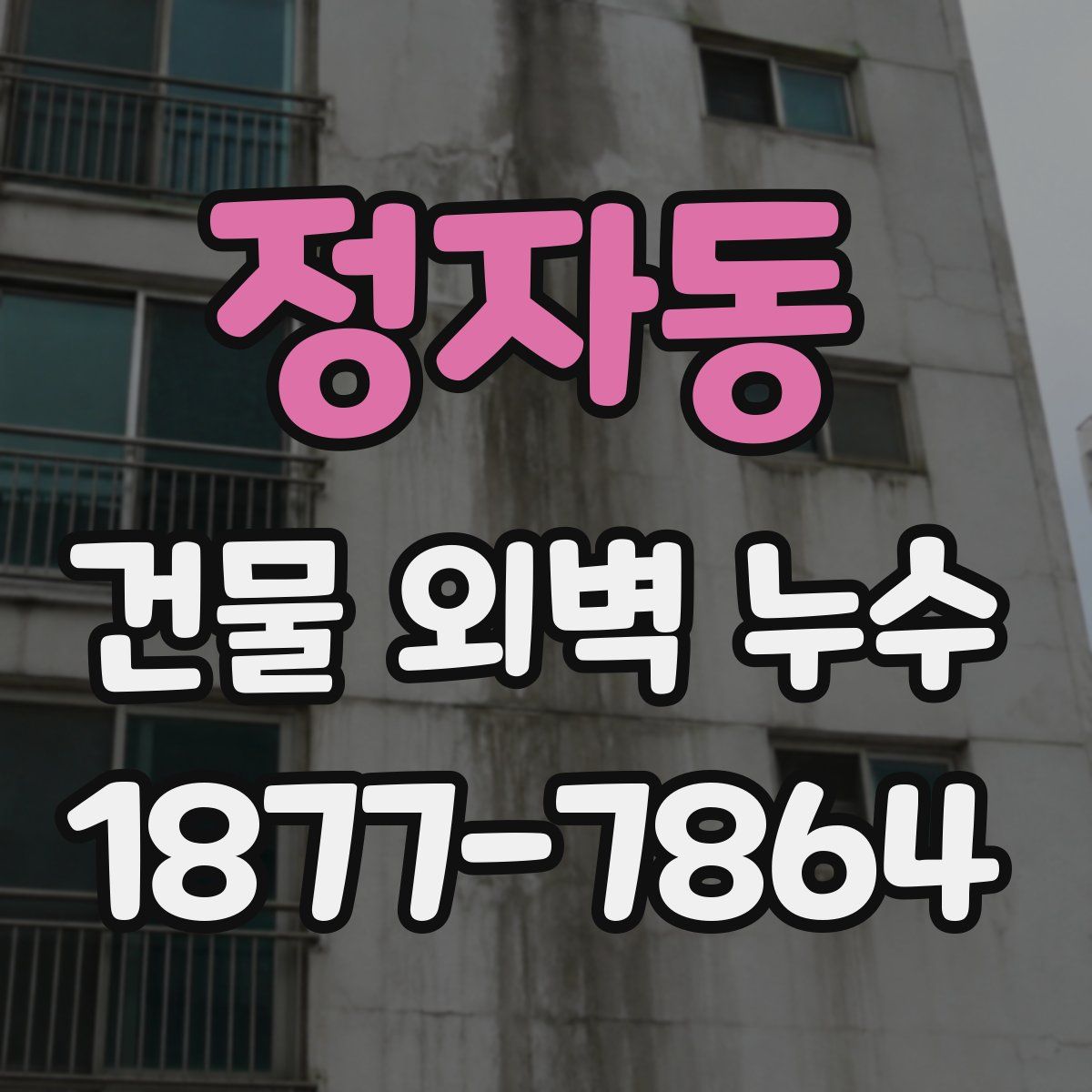 정자동 건물 외벽 누수