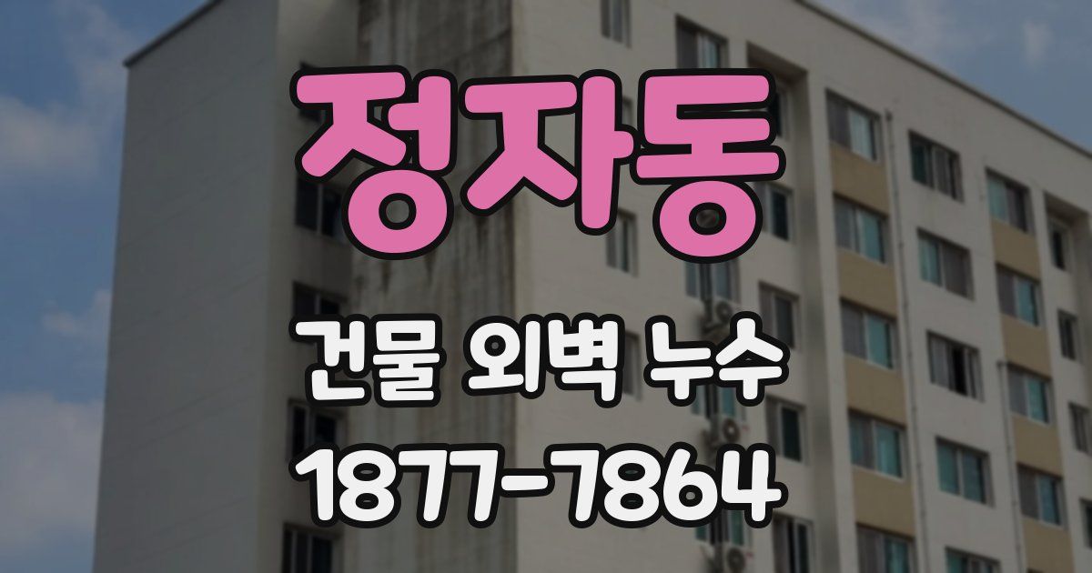 정자동 건물 외벽 누수