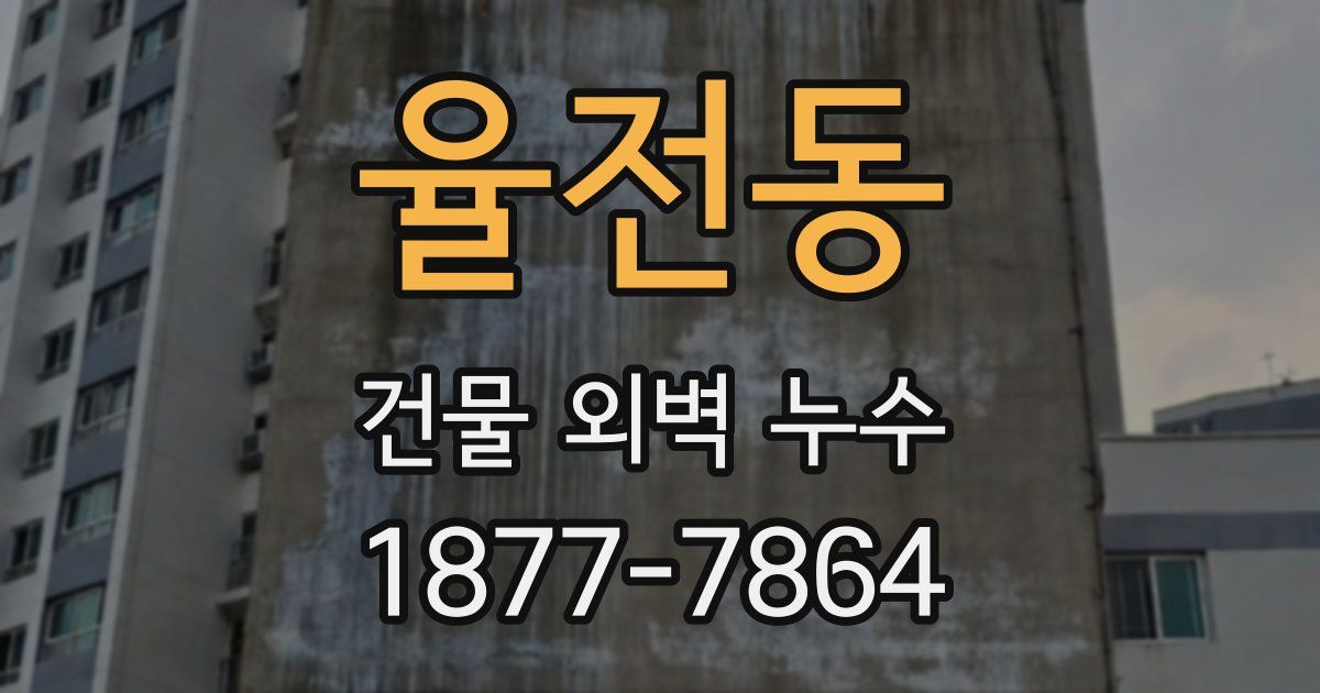 율전동 건물 외벽 누수