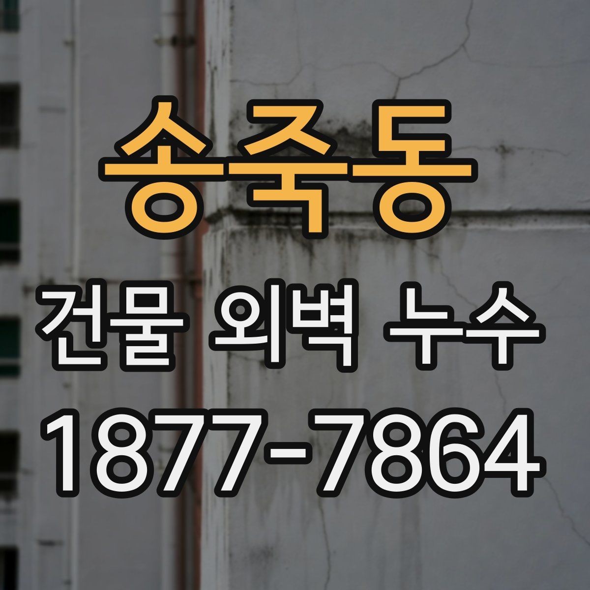 송죽동 건물 외벽 누수 공사 업체 상담 전 체크사항