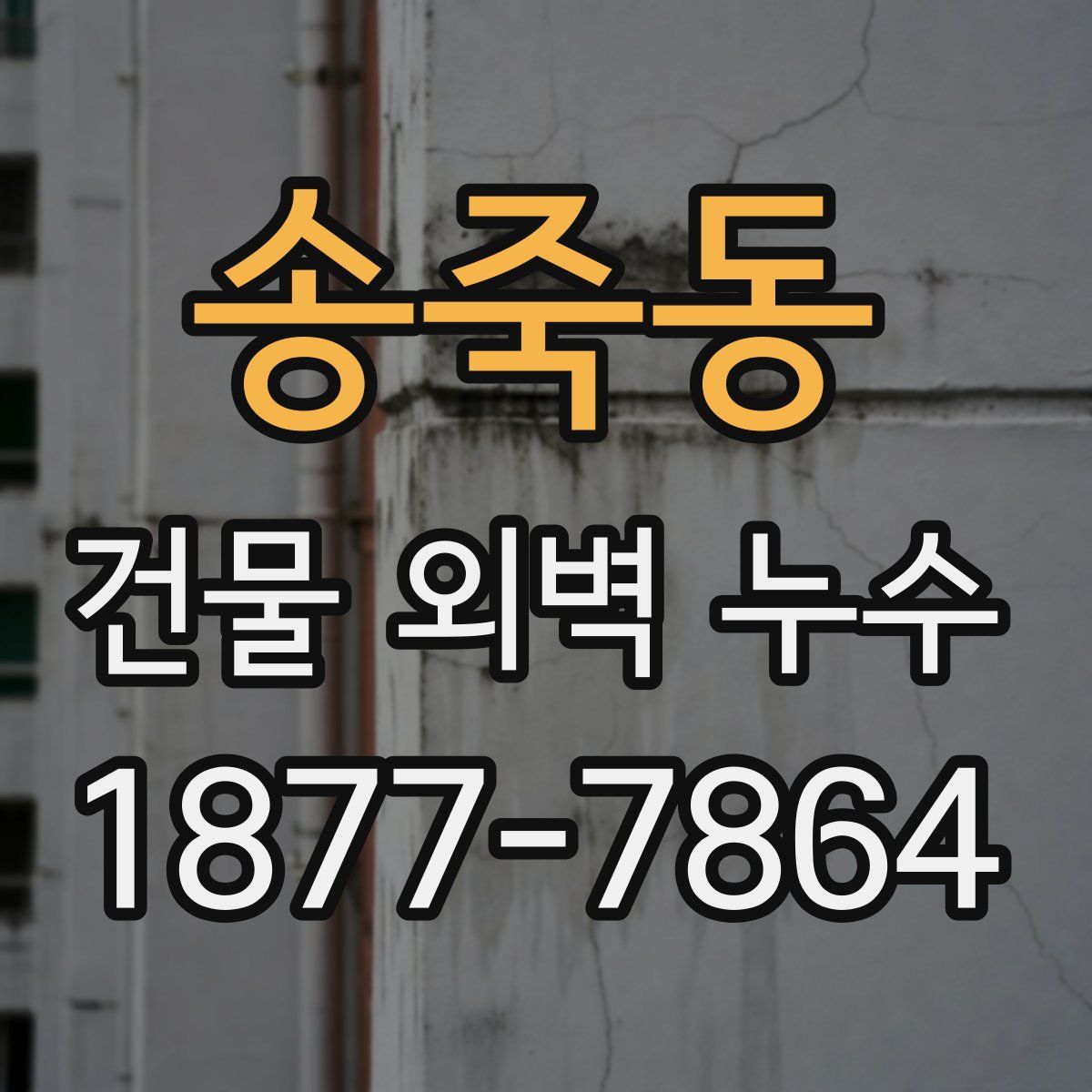 송죽동 건물 외벽 누수