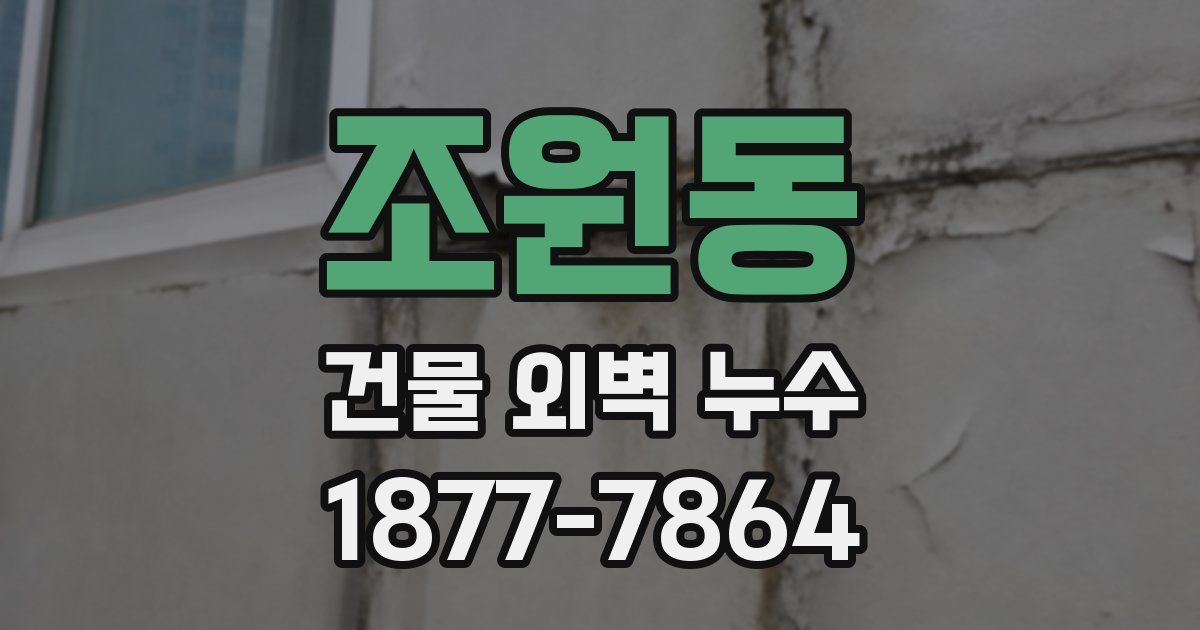 조원동 건물 외벽 누수