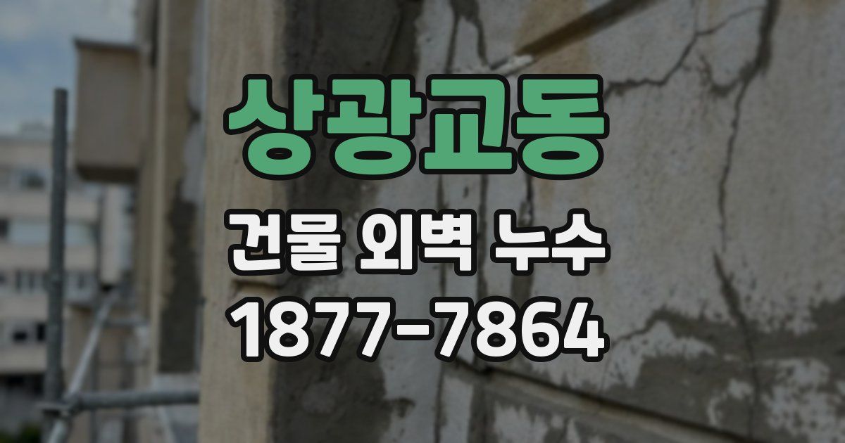 상광교동 건물 외벽 누수