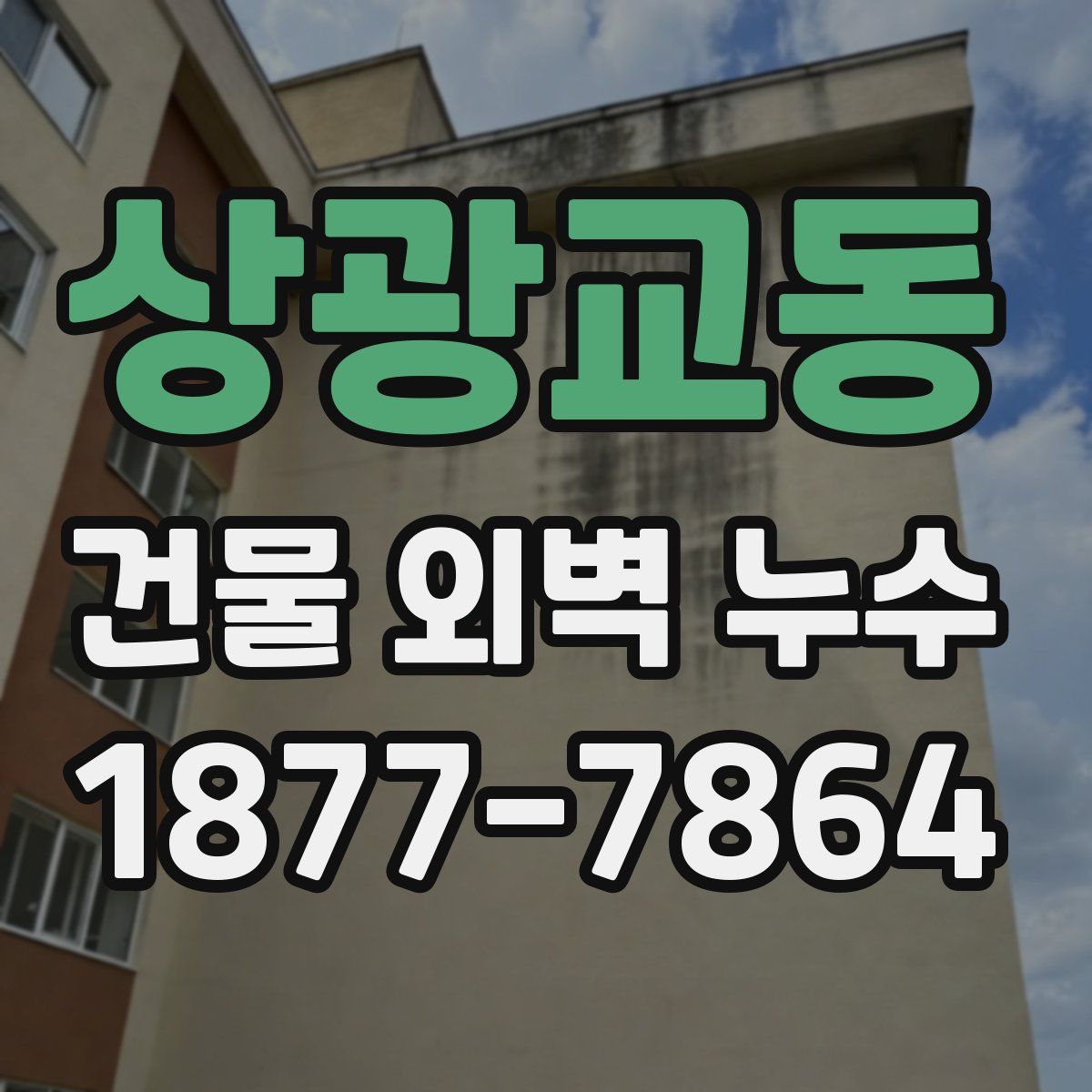 상광교동 건물 외벽 누수