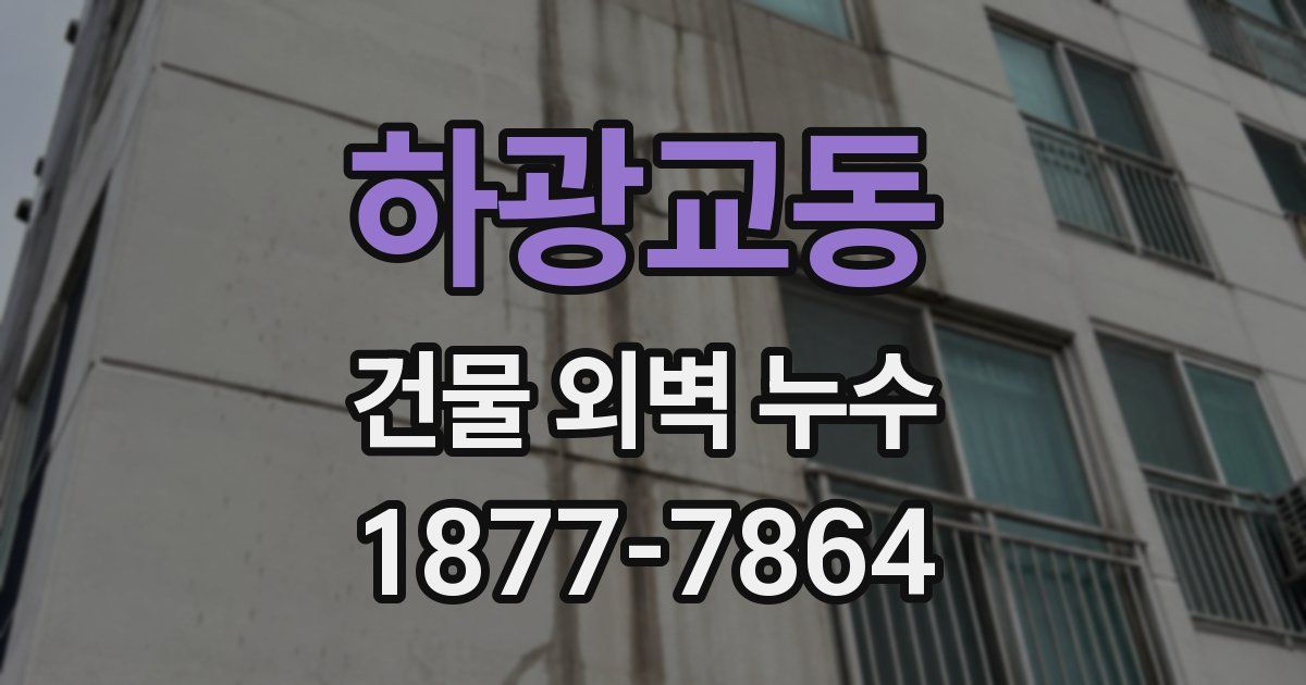 하광교동 건물 외벽 누수
