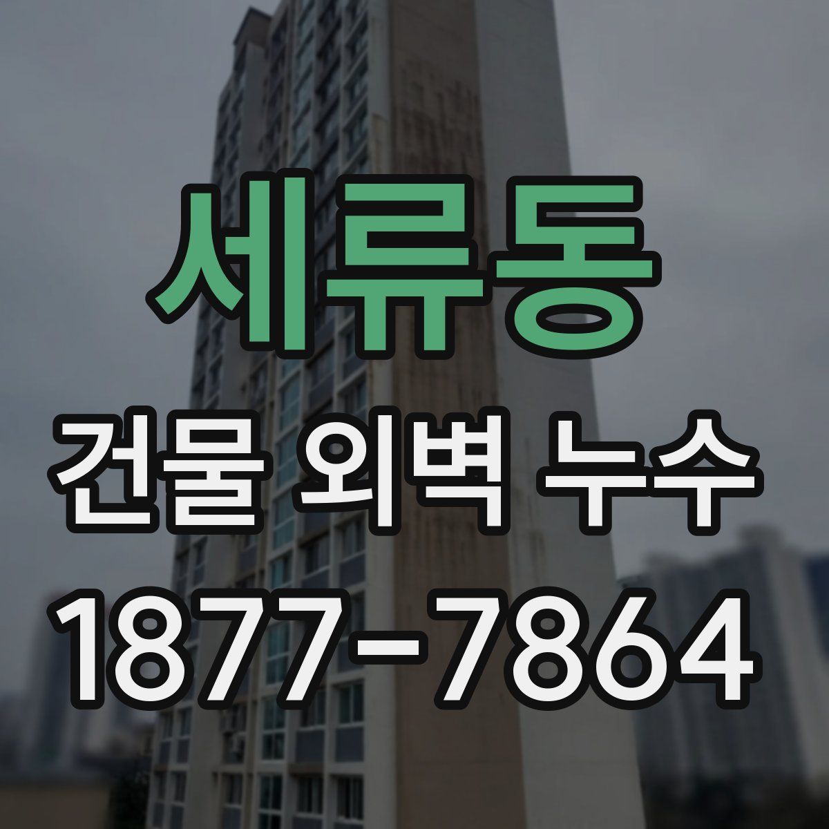 세류동 건물 외벽 누수